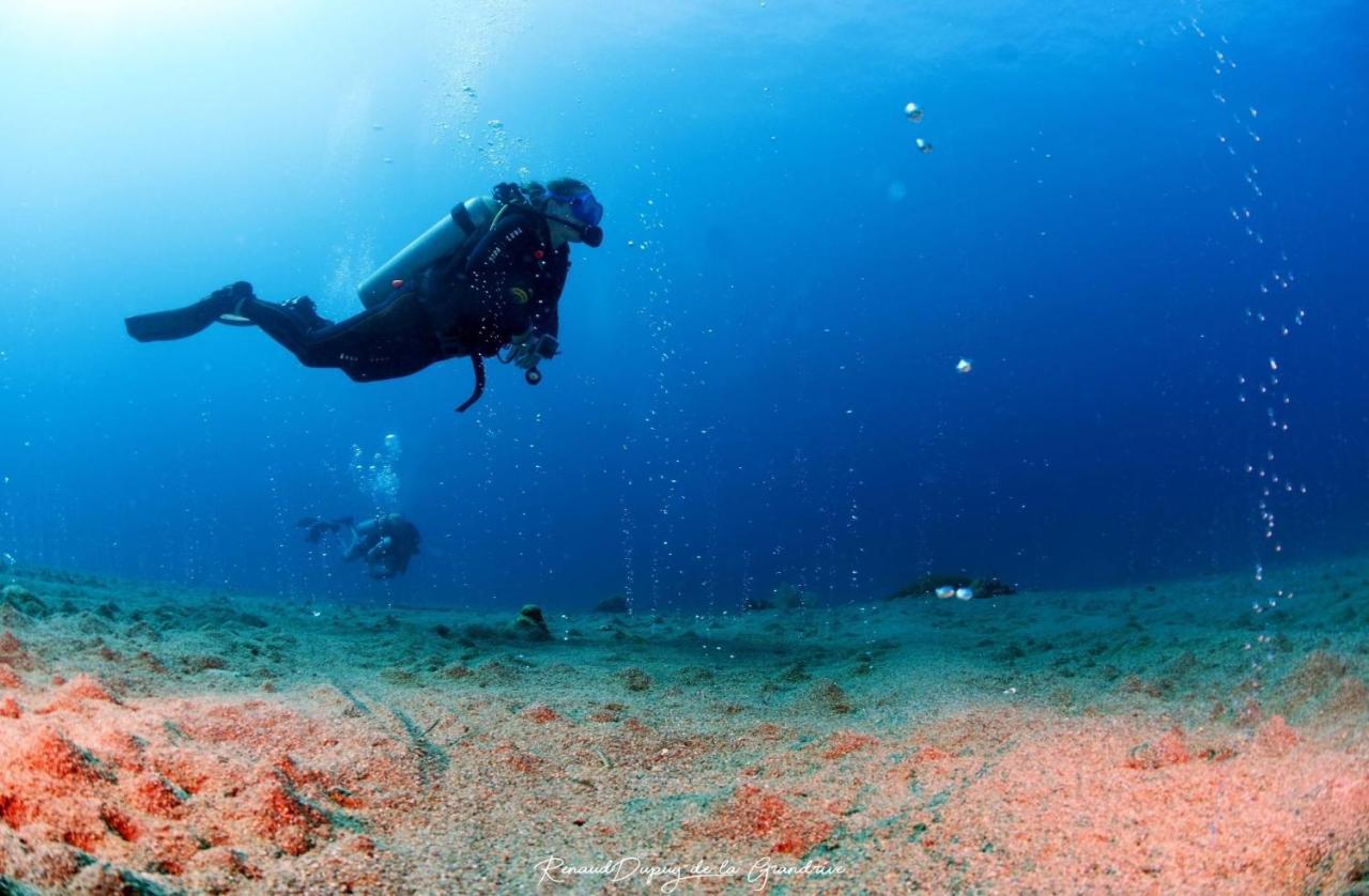 La Tortue Diving Resort Dauin Bagian luar foto